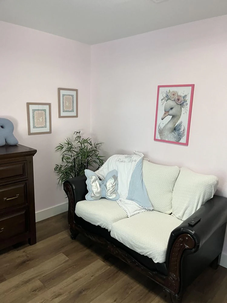 Bedroom Wall Repaint project photo in Spring, TX